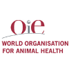 OIE Webinar: Compensation policies for ASF