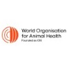 Webinar: Crisis communication on African swine fever
