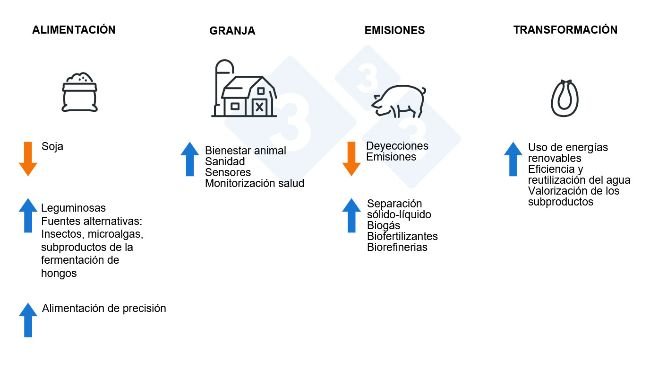 ¿Cómo hacer el sector porcino más sostenible?