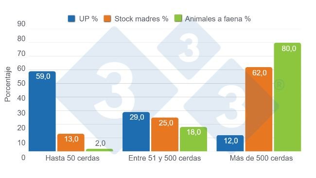 Gráfico 4. Distribución porcentual por tamaño de granja en número de unidades productivas (UP), stock de cerdas madres y participación en la faena. Elaboración propia con datos de de la Secretaría de Agricultura, Ganadería y Pesca (SAGYP), Anuario Porcino 2024.