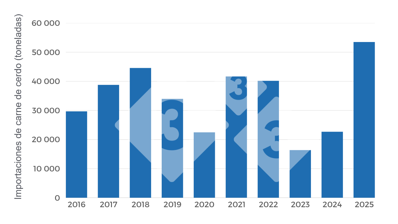 Gr&aacute;fico 3. Evoluci&oacute;n anual&nbsp;de toneladas importadas (peso producto) periodo 2016-2025. Elaboraci&oacute;n propia con datos de la Secretar&iacute;a de Agricultura, Ganader&iacute;a y Pesca (SAGYP).
