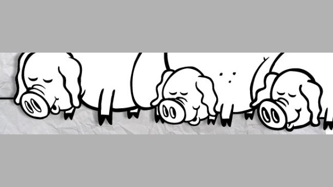 Birth weight variability