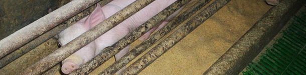 It the three areas are not well defined we will have problems.