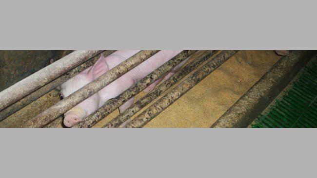 It the three areas are not well defined we will have problems.