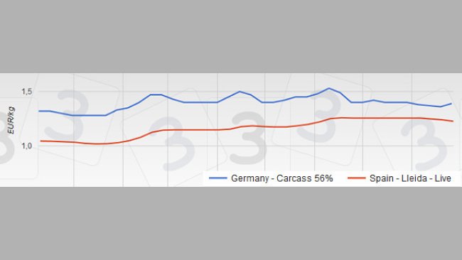 pig price in Spain and Germany from January to August 2015