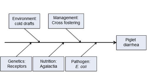 Five production input model of disease causation