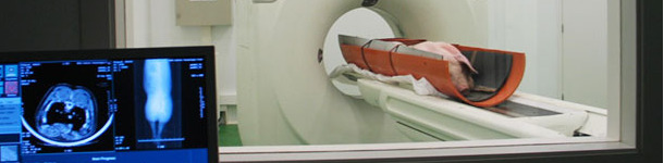 Computed tomography (CT) as a tool in animal production - Articles ...