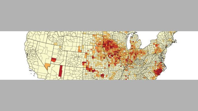 Hog and Pig sales as percentual agriculture sales, by County, 2012