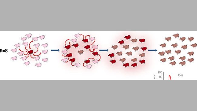 Reproduction ratio in epidemic or endemic context