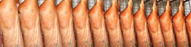 Exchange Rates are front and center for 2016