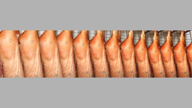 Exchange Rates are front and center for 2016