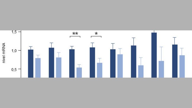 Effect of the addition of a mixture of thyme, vanilla and organic acids on gene expression of various pro-inflammatory cytokines in the gut of piglets