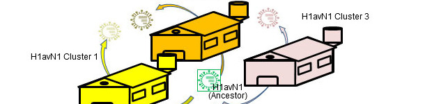 Heterogenicidad gen&eacute;tica y antig&eacute;nica relacionada con la granja
