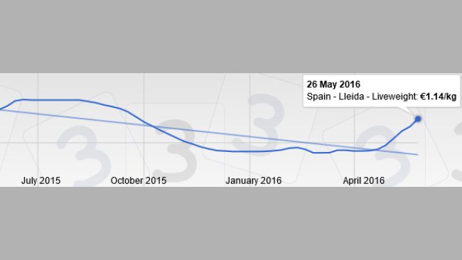 Pig price at the Mercolleida market