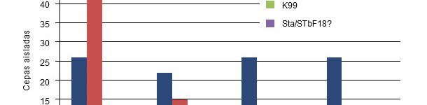 E. coli strains isolated in the field in piglets of different ages from unvaccinated sows.