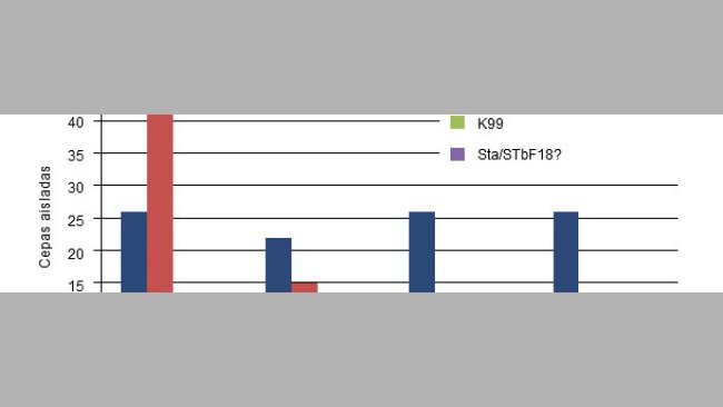 E. coli strains isolated in the field in piglets of different ages from unvaccinated sows.