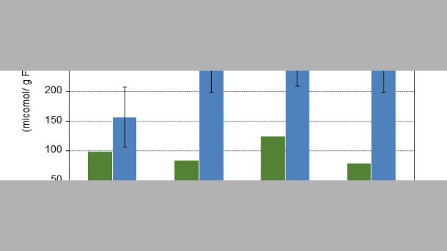 Concentration of short-chain fatty acid on colon digesta of piglets 10 and 15 days after weaning fed 4 different experimental diets