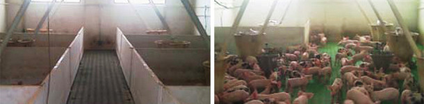 Open housing vs. conventional rooms