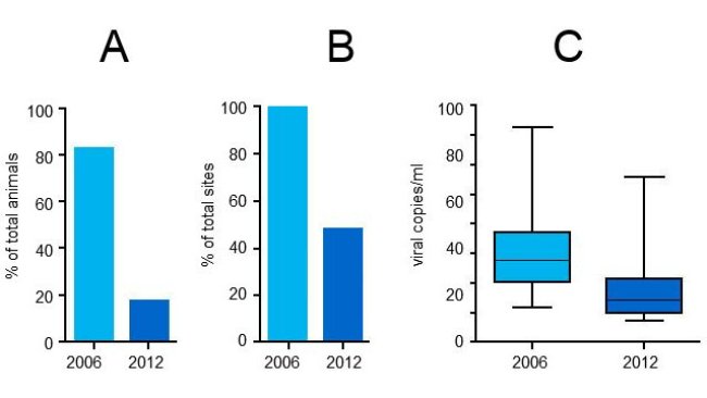PCV2 viremia levels in 2006 and 2012