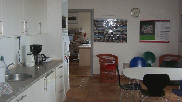 Kitchen and dining room on a farm