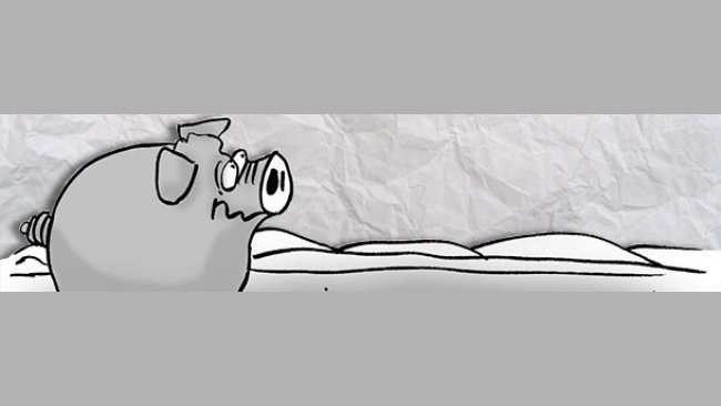 Where flying pigs sleep