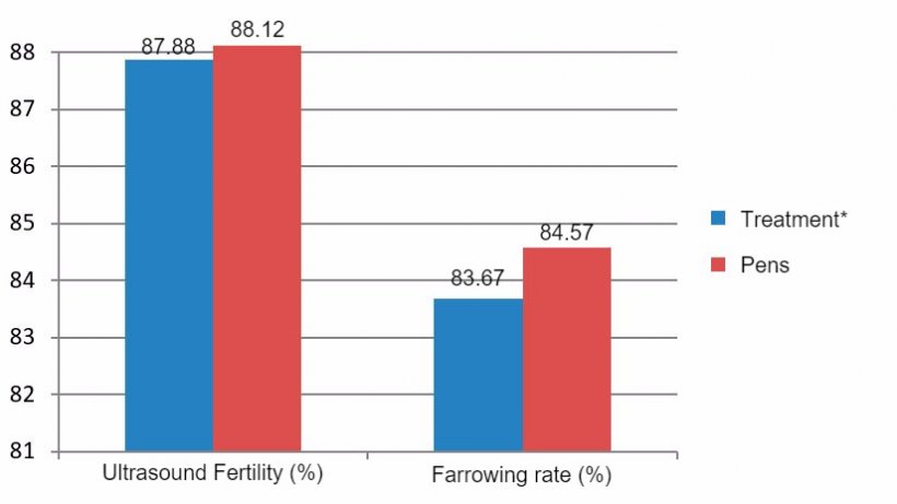 Figure 7. Results of primiparous compared between December 2015 and June 2016 (*sows in crates from weaning until day 28 of gestation).