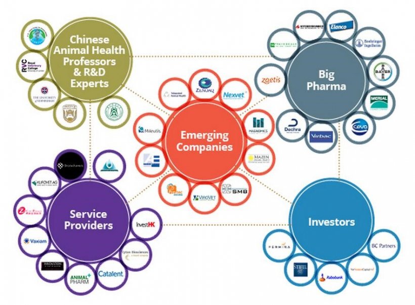 Animal Health Investment Asia &ndash; Companies
