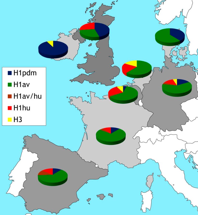Figure 2. Geographical restriction of HA subtypes of porcine influenza viruses currently in circulation Europe. Data are based on (reference) and own passive monitoring studies that commenced in 2015.