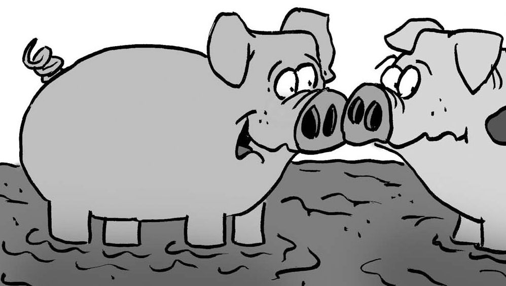 "I see you where playing tag with the dog"
