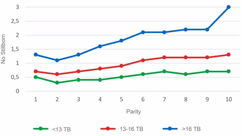 Graph&nbsp;3: Average number of stillborn piglets according to parity&nbsp;for litters of less than 13, between 13 and 16&nbsp;or more than 16 Total Born piglets.&nbsp;Analysis of&nbsp;93.896 farrowings&nbsp;from hyperprolific sows recorded from&nbsp;October 14 to September 16
