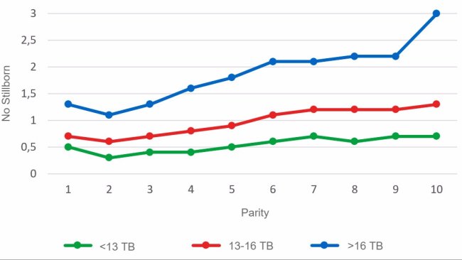 Graph 3: Average number of stillborn piglets according to parity for litters of less than 13, between 13 and 16 or more than 16 Total Born piglets. Analysis of 93.896 farrowings from hyperprolific sows recorded from October 14 to September 16