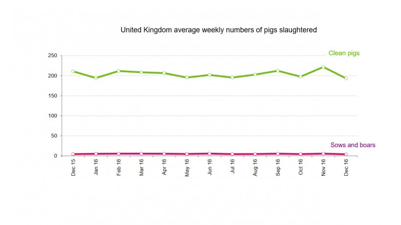 UK pig slaughterings in 2016