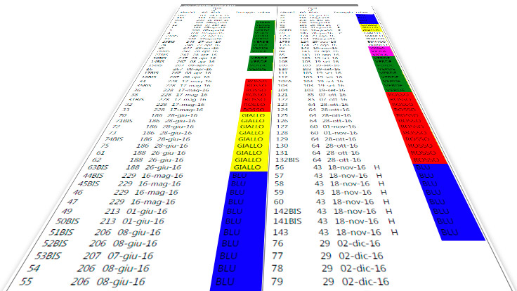 Identification of replacement gilts&nbsp;with different tag colours according to the batch they belong to.&nbsp;
