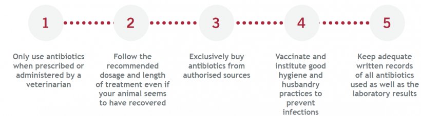 Responsible use of antimicrobials.
