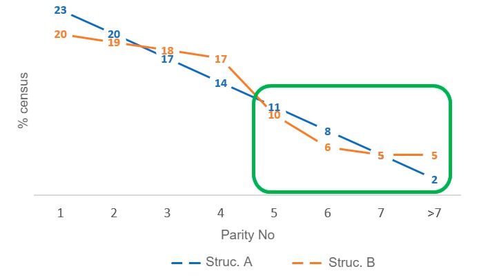 Figure&nbsp;4. Differences in old sow rates between herd census structures A and B.
