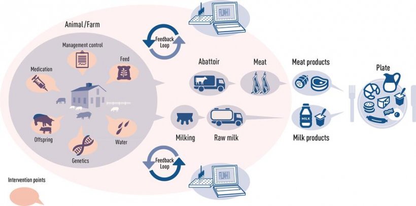 Blood samples taken at the abattoir are tested for antibodies against zoonotic pathogens. The results are fed back to the producer and, if needed, corrective measures can be taken at the intervention points. Success is then monitored in every batch delivered to the slaughterhouse. This comprehensive approach supports continuous improvement of the value chain.
