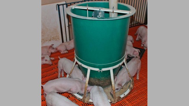 Osborne’s FAST Start™ feeder allows pigs to grow from wean to finish on a single feeder with virtually no attention, adjustments, or wasted feed.