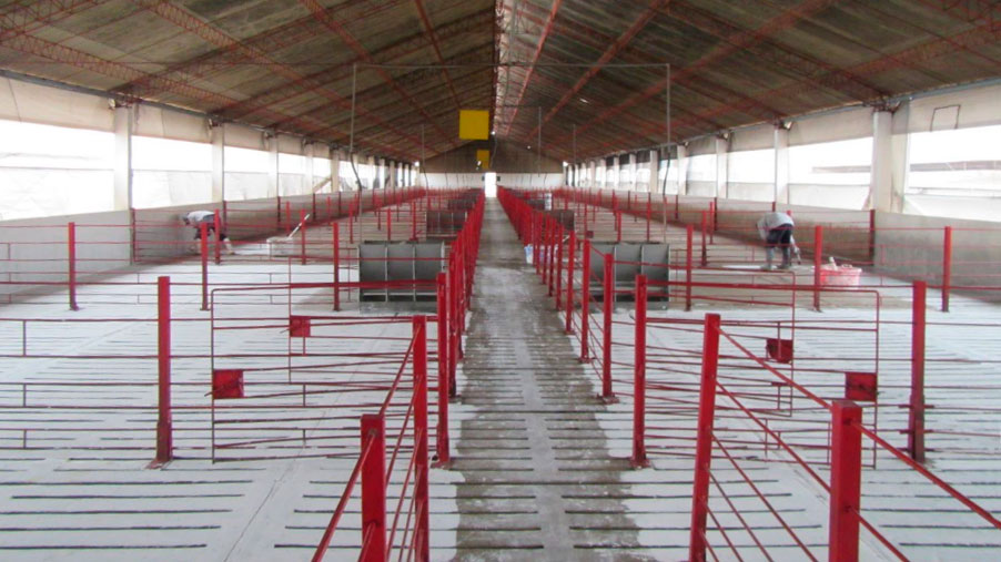 Photo 3 Cleaning and disinfection of facilities.
