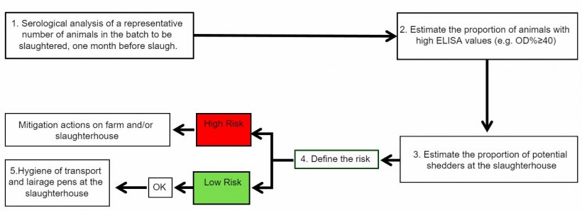 Figure&nbsp;3.&nbsp;Potential strategy to control Salmonella in pigs
