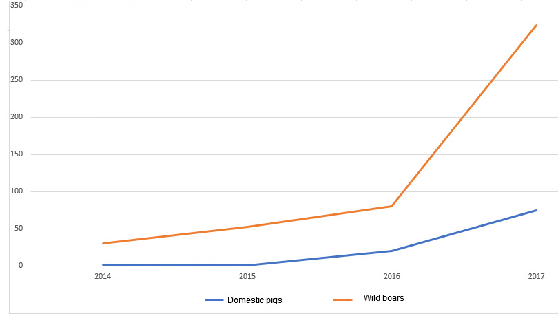 Evolution of the ASF outbreaks in domestic pigs and wild boars in Poland.
