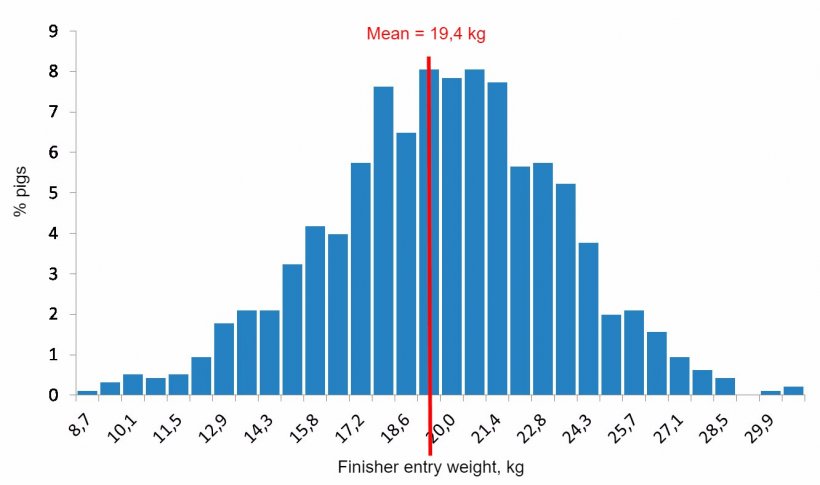 Figure 4. Weight distribution at the beginning of the growing-finishing period.
