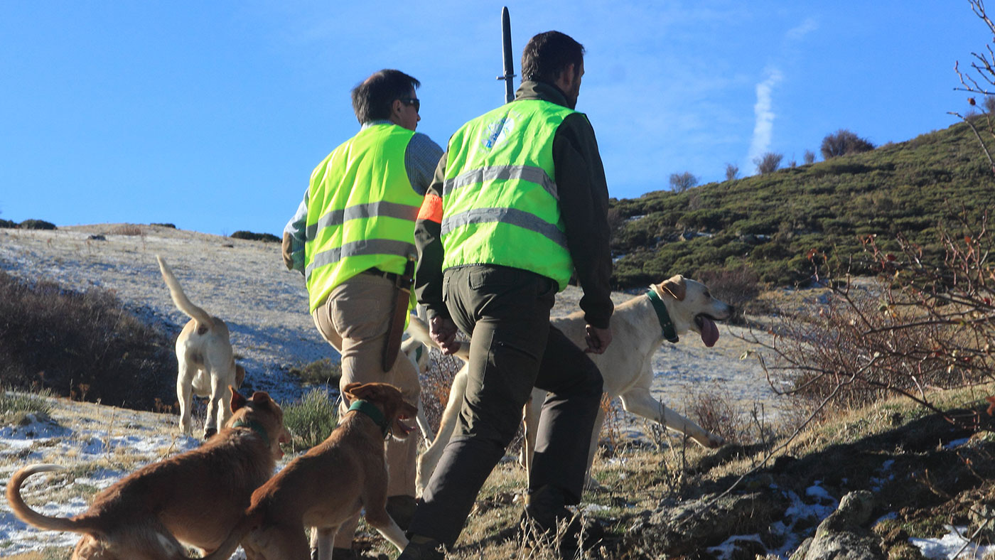 <p><span><span><span><span>Photo 5: Hunting is necessary, but dogs should not have access to the farm.</span></span></span></span></p>
