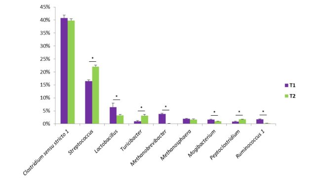 Figure 1. Some bacterial genera found in swine faeces. T1 is the control. T2 is a group treated with a mix of Bacillus in the feed.