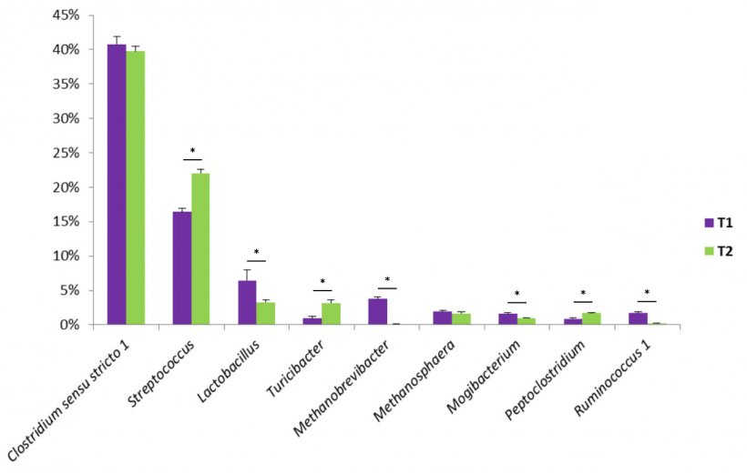 Figure 1. Some bacterial genera found in swine faeces. T1 is the control. T2 is a group treated with a mix of Bacillus in the feed.
