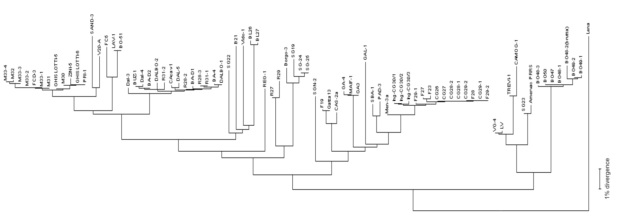 Dendogram