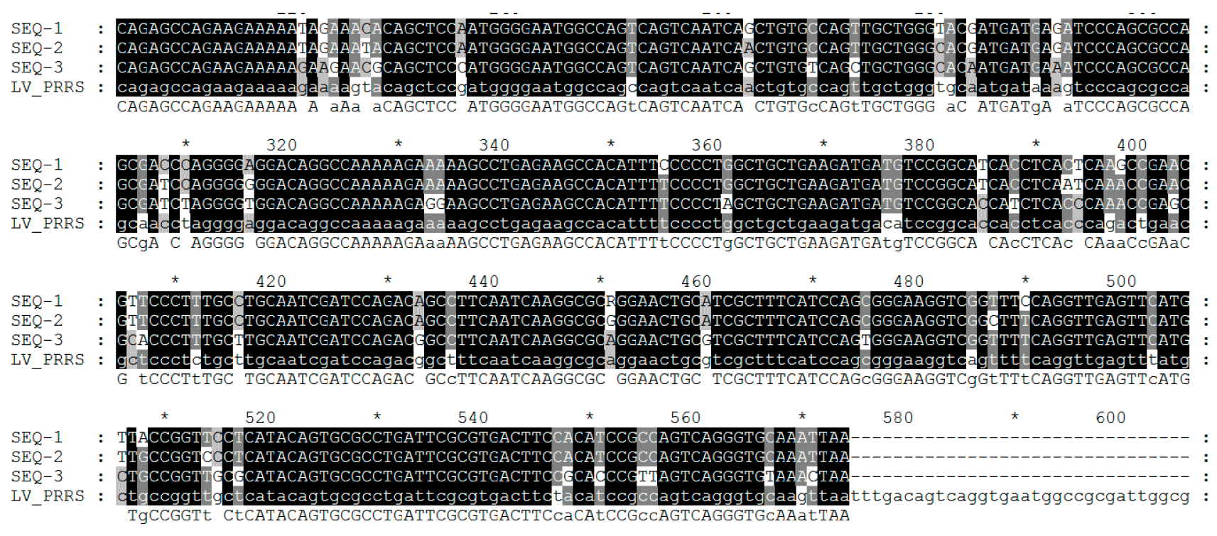 Figure 2. Virus sequencing is made on PCR products obtaining the reading of nucleotides usually from some viral RNA genome fragments in target regions &ndash; ORFs.
