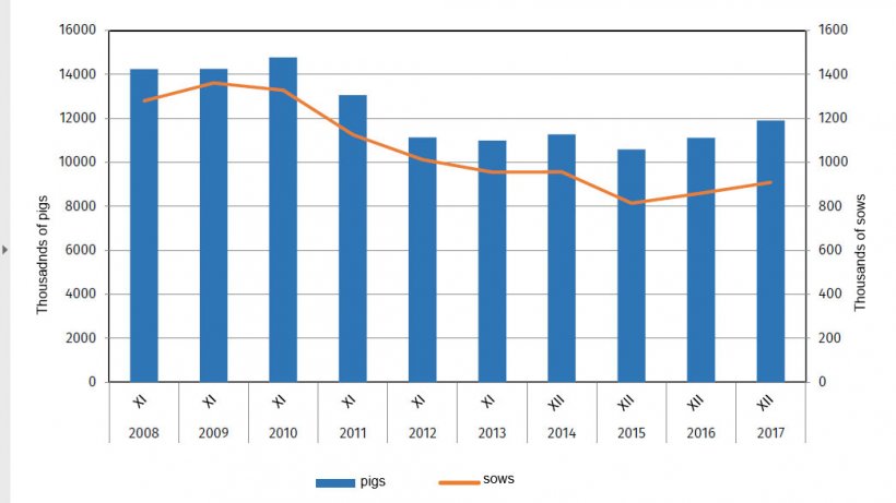 Evolution of the pig census in Poland
