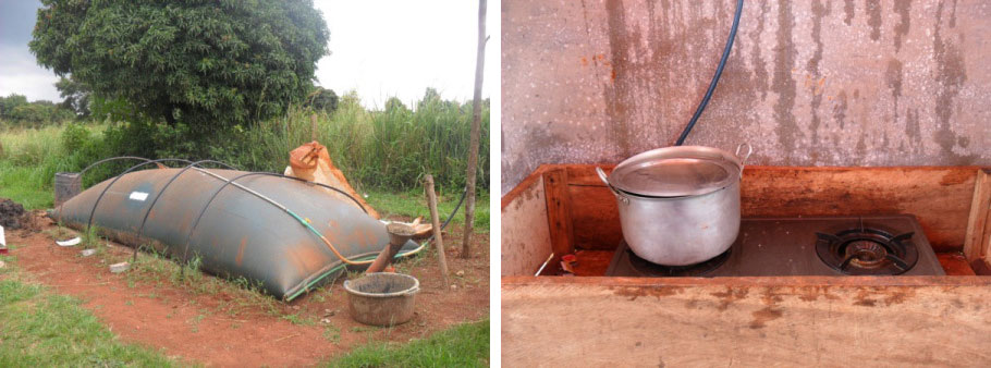 Biogas