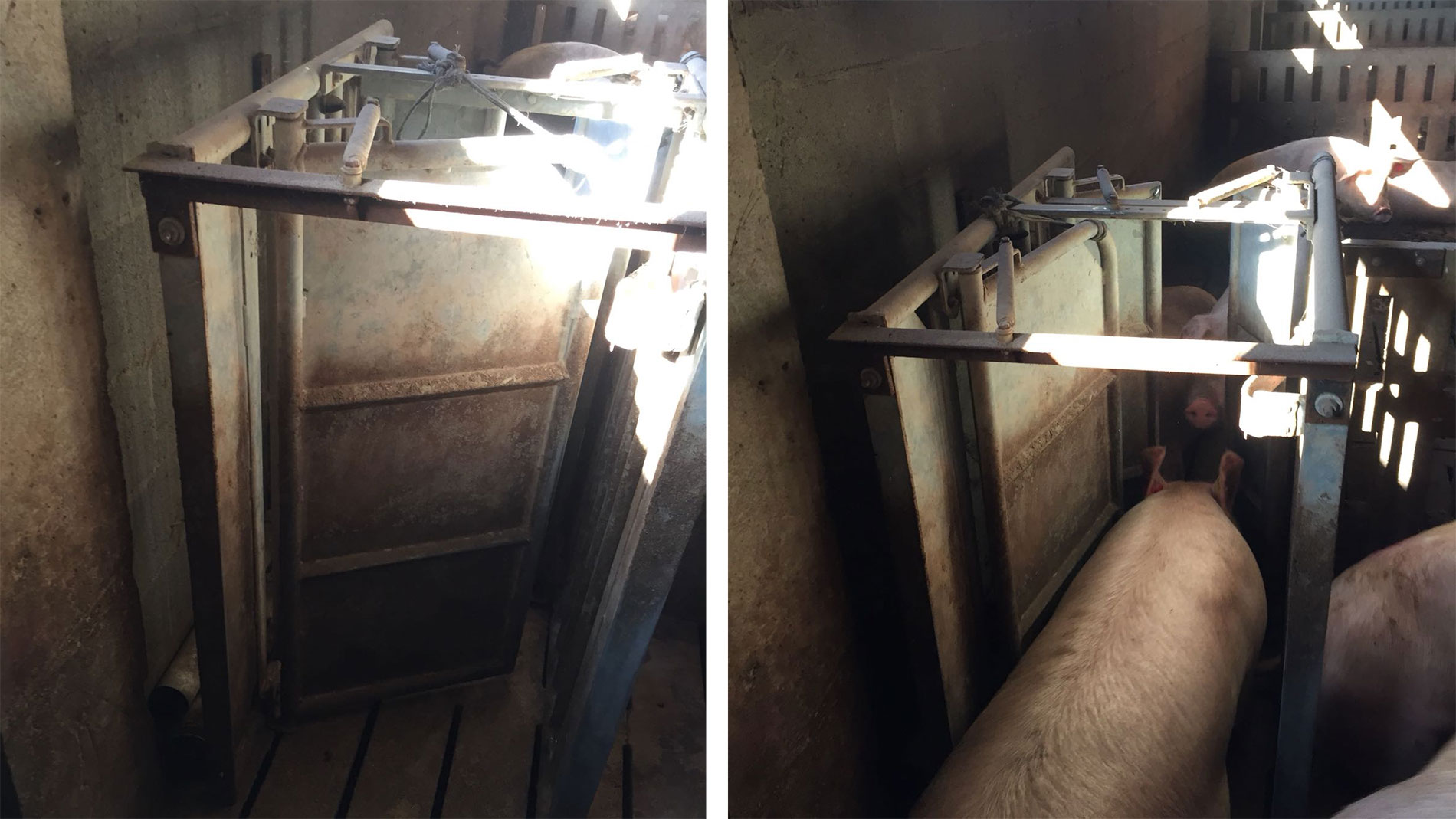 <p><span><span><span><span>Photo 1. Feeding station exit doors.</span></span></span></span></p>
