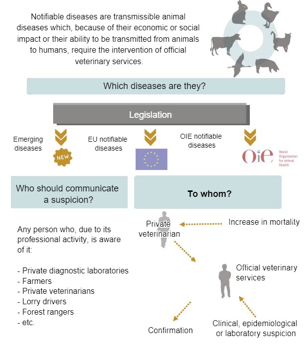 Notifiable diseases